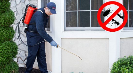 Düziçi Böcek ve Haşere İlaçlama böcek ilaçlama ve haşere kontrolü — ilaclama-tr.com